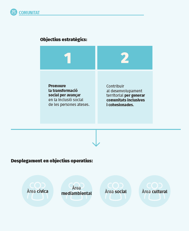 Infografia de Comunitat