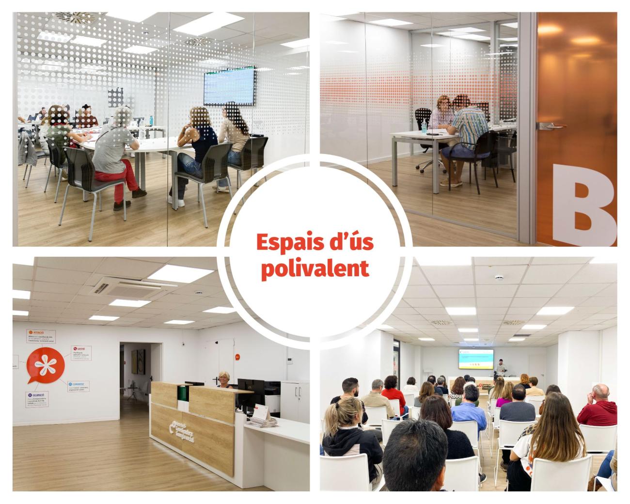 Instal·lacions_Espais d'ús polivalent_ACSS