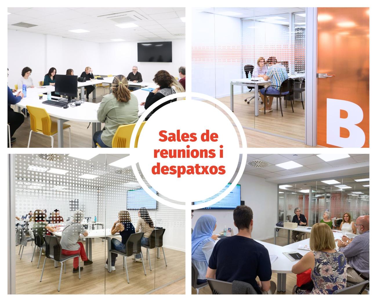 Instal·lacions_Sales de reunions i despatxos_ACSS